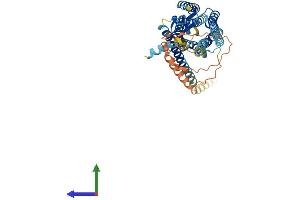 AlphaFold protein structure predicition of Human Recombinant NPY5R Protein, UniprotID Q15761