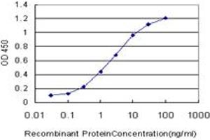 Detection limit for recombinant GST tagged CDK8 is approximately 0. (CDK8 antibody  (AA 375-464))