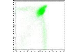 Image no. 2 for anti-CD4 (CD4) antibody (FITC) (ABIN474077) (CD4 antibody  (FITC))