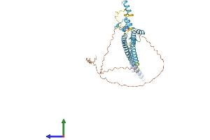 AlphaFold protein structure predicition of Mouse Recombinant Luc7l2 Protein, UniprotID Q7TNC4