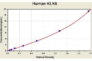 Diagramm of the ELISA kit to detect Human KLK6with the optical density on the x-axis and the concentration on the y-axis.