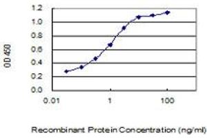 Detection limit for recombinant GST tagged BRI3BP is 0. (BRI3BP antibody  (AA 1-251))