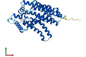 AlphaFold protein structure predicition of Mouse Recombinant G6pc3 Protein, UniprotID Q6NSQ9 (G6PC3 Protein (AA 1-346) (His tag))