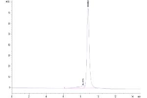 Size-exclusion chromatography-High Pressure Liquid Chromatography (SEC-HPLC) image for Interleukin 2 Receptor, beta (IL2RB) (AA 27-239) protein (His tag,Biotin) (ABIN7274057)
