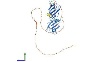 Protein Structure (PS) image for Heterogeneous Nuclear Ribonucleoprotein A0 (HNRNPA0) (AA 1-305) protein (His tag) (ABIN7551511)