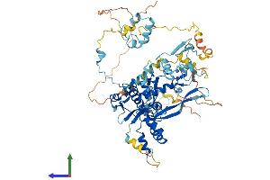 AlphaFold protein structure predicition of Mouse Recombinant Fbxo40 Protein, UniprotID P62932 (FBXO40 Protein (AA 1-710) (His tag))