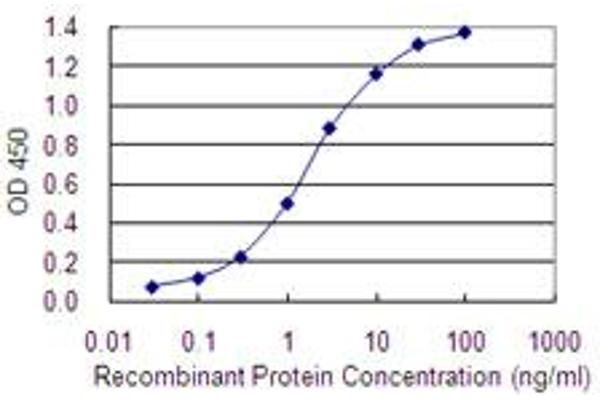 PCDHGA9 antibody  (AA 356-445)