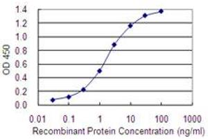 Detection limit for recombinant GST tagged PCDHGA9 is 0. (PCDHGA9 antibody  (AA 356-445))