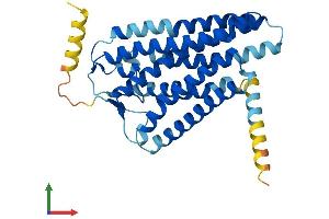 AlphaFold protein structure predicition of Human Recombinant OR2AK2 Protein, UniprotID Q8NG84 (OR2AK2 Protein (AA 1-335) (His tag))