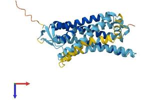 AlphaFold protein structure predicition of Human Recombinant OR52E6 Protein, UniprotID Q96RD3 (OR52E6 Protein (AA 1-313) (His tag))