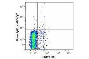 Flow Cytometry (FACS) image for anti-Chemokine (C-X-C Motif) Receptor 5 (CXCR5) antibody (APC-Cy7) (ABIN2660556) (CXCR5 antibody  (APC-Cy7))