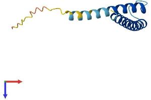 Protein Structure (PS) image for Translocase of Inner Mitochondrial Membrane 13 Homolog (TIMM13) (AA 1-95) protein (His tag) (ABIN7544380)