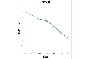 Antigen: 0. (BTK antibody  (pSer180))