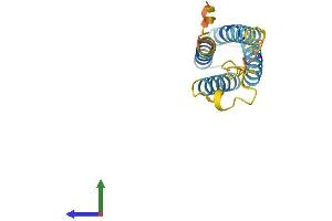 AlphaFold protein structure predicition of Mouse Recombinant Cklf Protein, UniprotID Q9DAS1