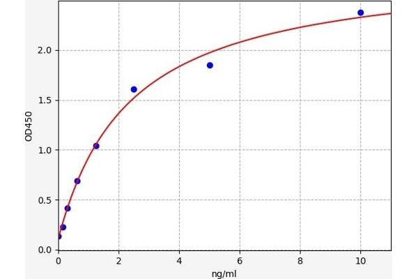 Connexin 43/GJA1 ELISA Kit