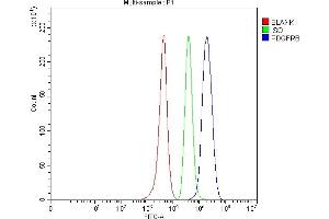 Flow Cytometry analysis of SH-SY5Y cells using anti-PDGFRB antibody (ABIN5693171).