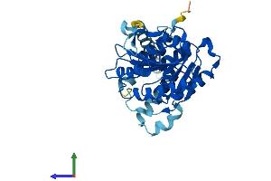 AlphaFold protein structure predicition of Mouse Recombinant Alg5 Protein, UniprotID Q9DB25 (ALG5 Protein (AA 1-324) (His tag))