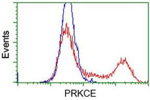 HEK293T cells transfected with either RC217702 overexpress plasmid (Red) or empty vector control plasmid (Blue) were immunostained by anti-PRKCE antibody (ABIN2454248), and then analyzed by flow cytometry. (PKC epsilon antibody)