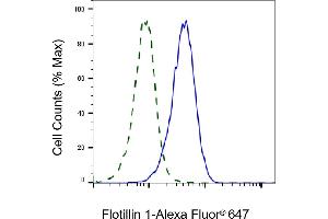 Validation of Flotillin 1 knockdown using flow cytometry. (Recombinant Flotillin 1 antibody)