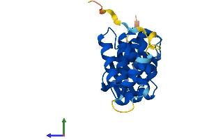 AlphaFold protein structure predicition of Mouse Recombinant Armc7 Protein, UniprotID Q3UJZ3