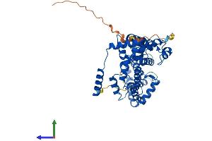 Protein Structure (PS) image for Regulator of G-Protein Signaling 11 (RGS11) (AA 1-443) protein (His tag) (ABIN7556431)