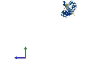 AlphaFold protein structure predicition of Human Recombinant CIP2A Protein, UniprotID Q8TCG1