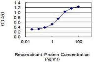 Detection limit for recombinant GST tagged FRAT1 is 0. (FRAT1 antibody  (AA 181-279))