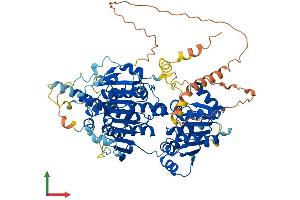 AlphaFold protein structure predicition of Human Recombinant UTP25 Protein, UniprotID Q68CQ4 (UTP25/DIEXF Protein (AA 1-756) (His tag))