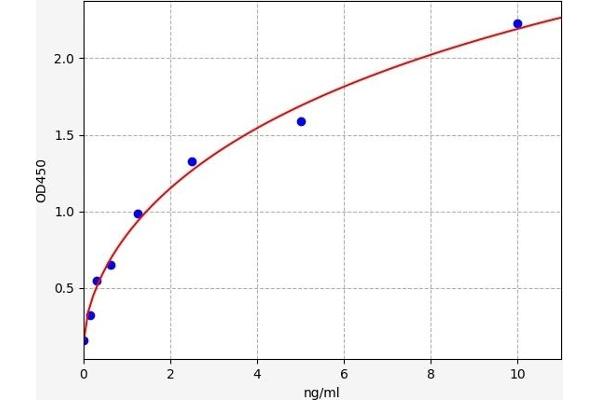 Prothrombin ELISA Kit