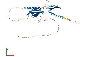 AlphaFold protein structure predicition of Mouse Recombinant Purg Protein, UniprotID Q8R4E6 (PURG Protein (AA 1-350) (His tag))