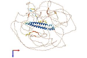 SAP130 Protein (AA 1-1048) (His tag)