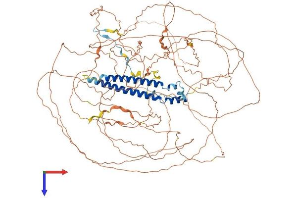 SAP130 Protein (AA 1-1048) (His tag)