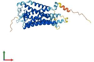 Protein Structure (PS) image for Thromboxane A2 Receptor (TBXA2R) (AA 1-341) protein (His tag) (ABIN7563101)