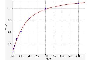 FEM1A ELISA Kit