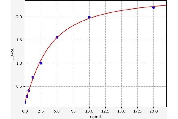 FEM1A ELISA Kit