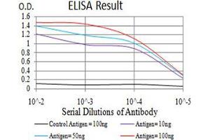 Black line: Control Antigen (100 ng);Purple line: Antigen (10ng); Blue line: Antigen (50 ng); Red line:Antigen (100 ng) (NR1I2 antibody  (AA 1-142))