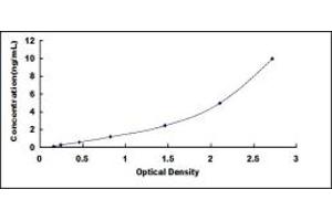 Typical standard curve (METAP2 ELISA Kit)