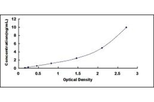 METAP2 ELISA Kit