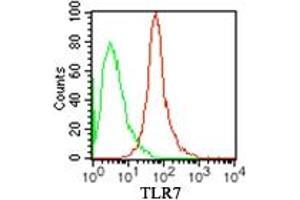Image no. 1 for anti-Toll-Like Receptor 7 (TLR7) (AA 562-839) antibody (PE) (ABIN4880159) (TLR7 antibody  (AA 562-839) (PE))