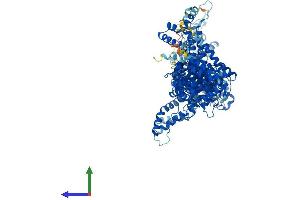 Protein Structure (PS) image for Cytoplasmic FMR1 Interacting Protein 2 (CYFIP2) (AA 1-1253) protein (His tag) (ABIN7563833)