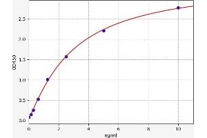 CYP24A1 ELISA Kit