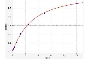 CYP24A1 ELISA Kit