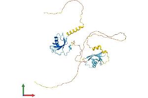 AlphaFold protein structure predicition of Human Recombinant DCX Protein, UniprotID O43602 (Doublecortin Protein (DCX) (AA 1-365) (His tag))