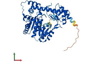 AlphaFold protein structure predicition of Human Recombinant GOT1L1 Protein, UniprotID Q8NHS2