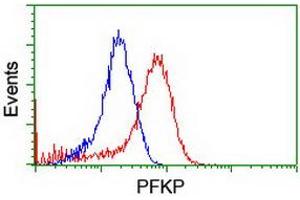 Flow cytometric Analysis of Hela cells, using anti-PFKP antibody (ABIN2455344), (Red), compared to a nonspecific negative control antibody, (Blue). (PFKP antibody)