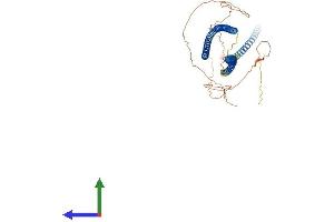 AlphaFold protein structure predicition of Human Recombinant KRT79 Protein, UniprotID Q5XKE5 (Cytokeratin 79 Protein (AA 1-535) (His tag))