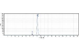 The purity of Anti-IL-9 Reference Antibody (enokizumab) is more than 95 % , determined by SEC-HPLC. (Recombinant IL9 (Enokizumab Biosimilar) antibody)