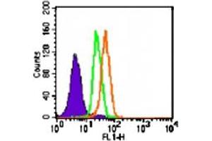 Intracellular flow analysis of TLR5 in Ramos cells. (TLR5 antibody  (AA 700-800))