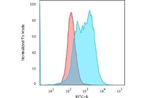 Flow Cytometric Analysis of PFA-fixed K562 cells using BCL10 Recombinant Rabbit Monoclonal Antibody (BL10/2988R) followed by Goat anti-Rabbit- IgG-CF488 (Blue); Isotype Control (Red) (Recombinant BCL10 antibody  (AA 122-168))