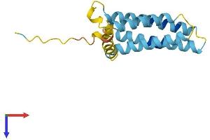 AlphaFold protein structure predicition of Mouse Recombinant Plp2 Protein, UniprotID Q9R1Q7 (PLP2 Protein (AA 1-152) (His tag))